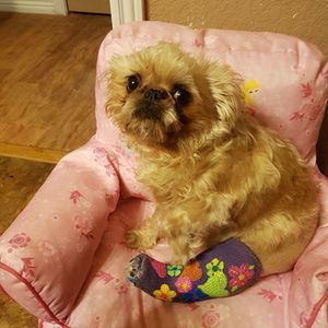 Meet your Posher, Lauri